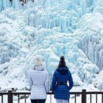 Eobi Ice Valley & Nami Island & Alpaca World & Morning Calm - What Travelers Love About This Tour