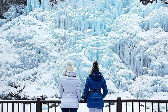 Eobi Ice Valley & Nami Island & Alpaca World & Morning Calm - What Travelers Love About This Tour