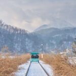 Eobi Valley, Alpaca World, Nami Island, Railbike/Garden fr Seoul - Final Thoughts: Is It Worth It?