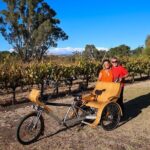 eTukTuk Adventure from Oxenberry Farm in McLaren Vale - Who Is This Tour Best For?