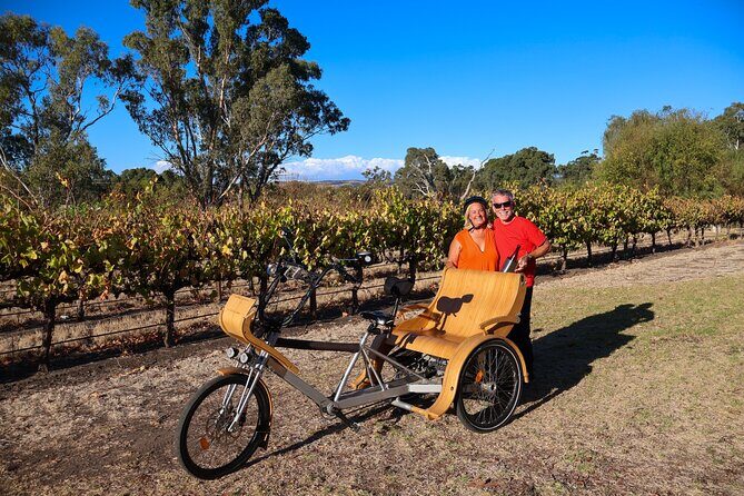 eTukTuk Adventure from Oxenberry Farm in McLaren Vale - Who Is This Tour Best For?