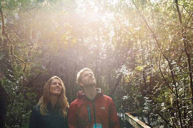 Evening Dinner Cruise - The Sum Up: Who Will Love This Cruise?