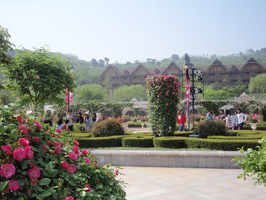 Everland rose garden in European Adventure