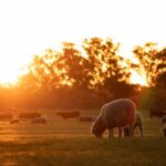 Exclusive Farm Experience - Detailed Breakdown of the Itinerary