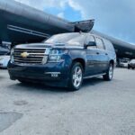Exclusive Private Transportation from the Airport - Hotel in Punta Cana - Arrival Experience: What to Expect