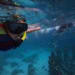 Exclusive Snorkeling trip Gili Terawangan Meno and Air - The Itinerary: What You Can Expect