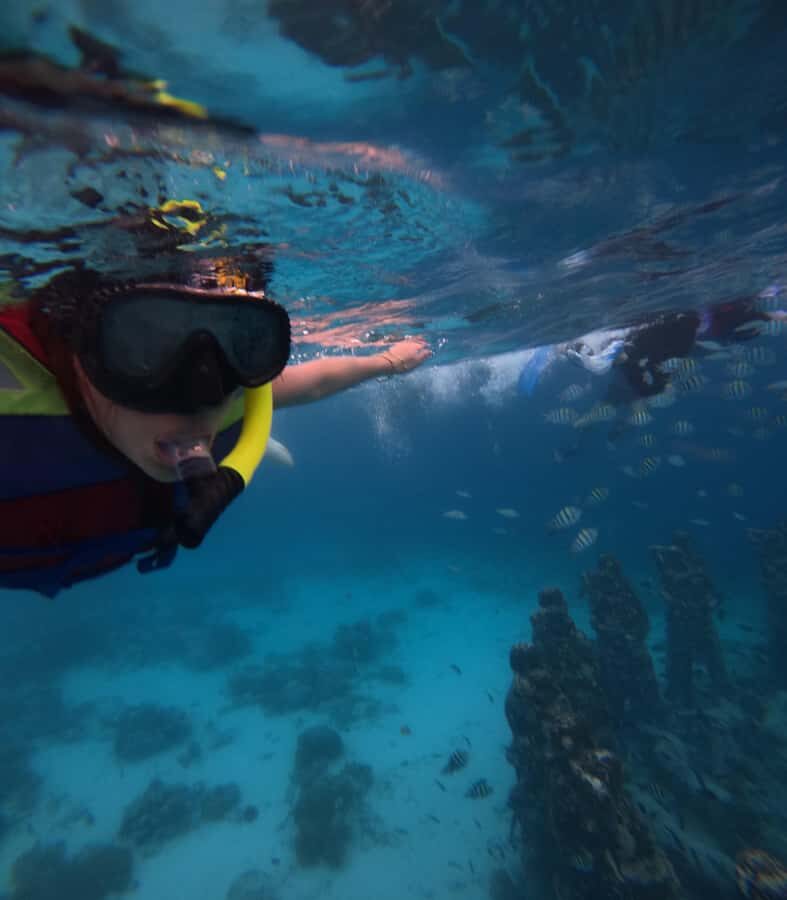 Exclusive Snorkeling trip Gili Terawangan Meno and Air - The Itinerary: What You Can Expect  
