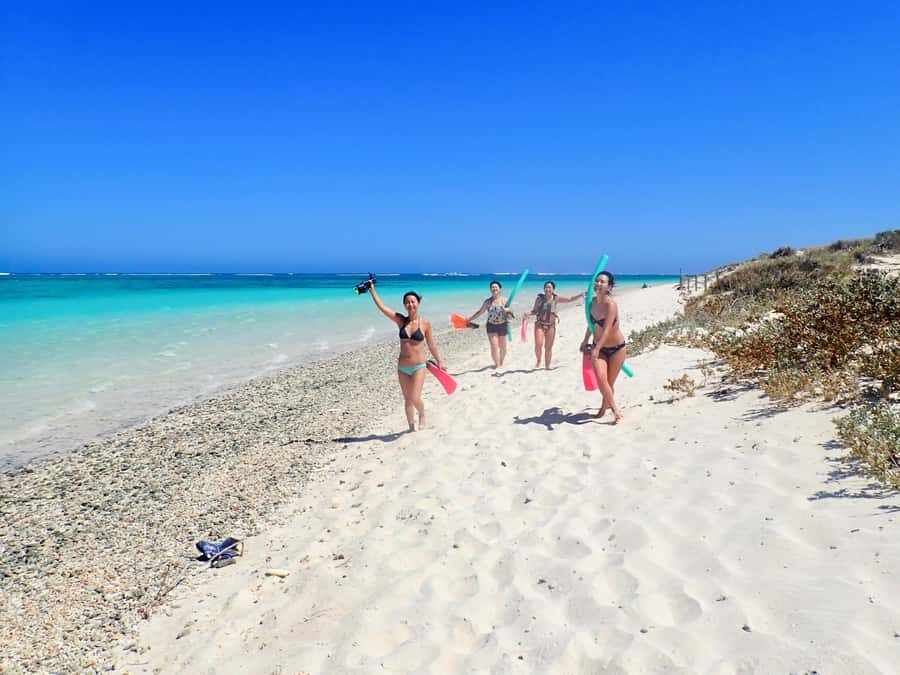 Exmouth: Guided Ningaloo Reef Snorkel Adventure - Final Thoughts