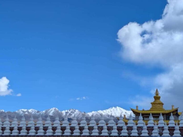 Experience Authentic Chengdu with a Personalized Local Guide - Detailed Itinerary Breakdown