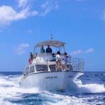 Experience Guam Dolphin Cruise - Pros and Cons Based on Experience