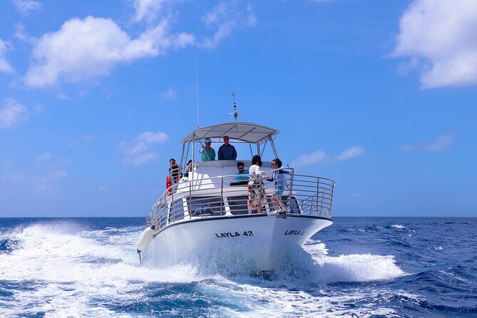 Experience Guam Dolphin Cruise - Pros and Cons Based on Experience