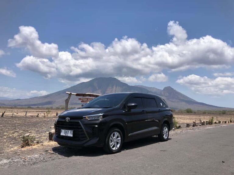 Explore Baluran By Menara Timur Tour & Travel - A Full Breakdown of the Tour Experience