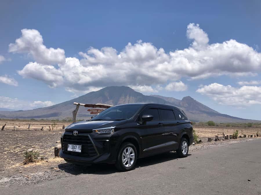 Explore Baluran By Menara Timur Tour & Travel - A Full Breakdown of the Tour Experience