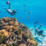 Explore Nassau's Best Spots with Snorkeling Tour - What’s Included and What’s Not