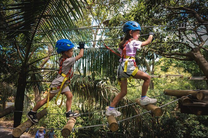 Explore Ourimbah State Forest Junior Tree Ropes Course - Final Thoughts