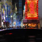 Explore Shinjuku's breathtaking views and entertainment districts - Who Will Appreciate This Tour?