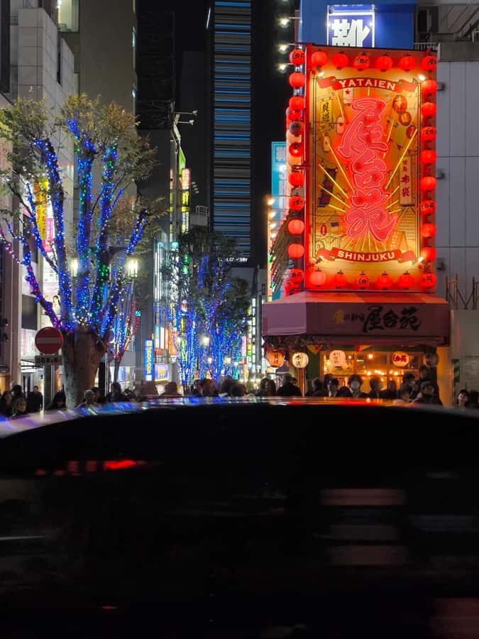 Explore Shinjuku's breathtaking views and entertainment districts - Who Will Appreciate This Tour?