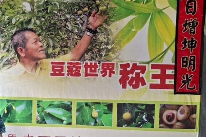 Explore The Hidden Gem of Penang at Balik Pulau - Practical Details and Value