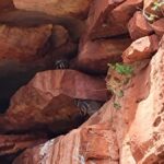 Explore the Hidden Gorges: Kalbarri N.P, 4WD, Hike, Canoe - Detailed Experience: Highlights and Practicalities