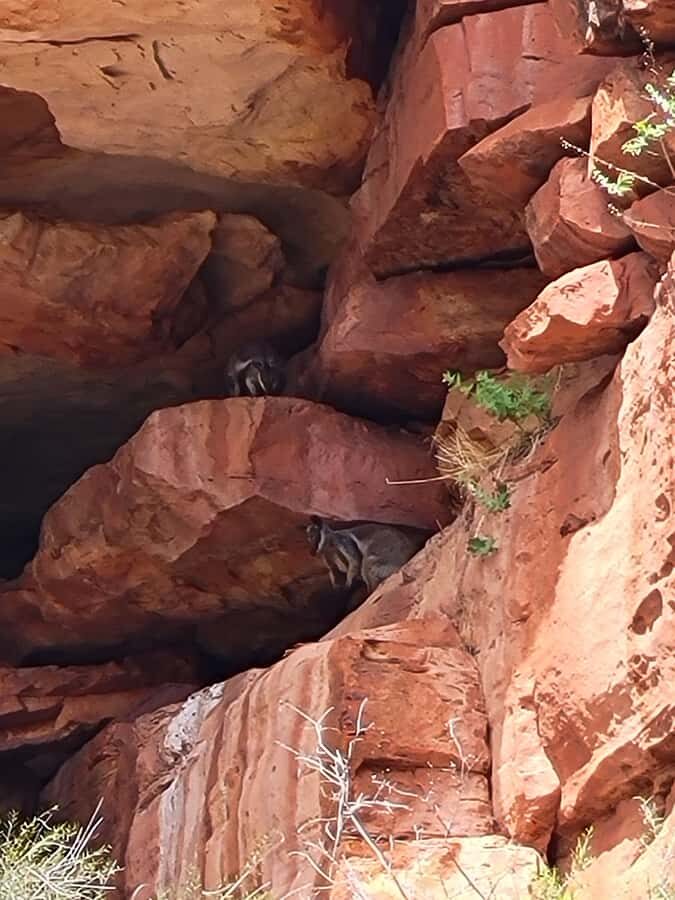 Explore the Hidden Gorges: Kalbarri N.P, 4WD, Hike, Canoe - Detailed Experience: Highlights and Practicalities