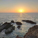 Explore The North Goa Full-Day City Sightseeing Tour - Practical Details That Matter