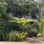 Explore the Wonders of New Caledonia from Noumea Cruise Terminal - A Deep Dive Into the Itinerary