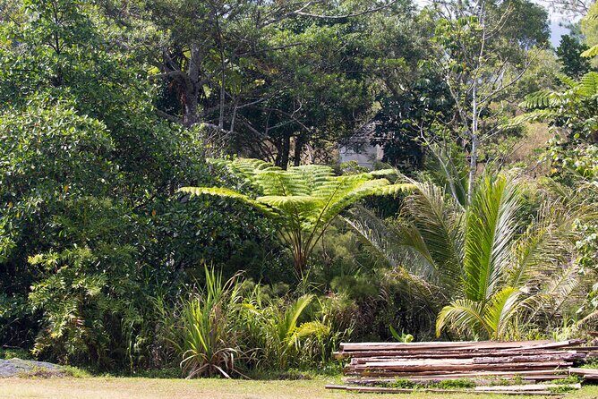 Explore the Wonders of New Caledonia from Noumea Cruise Terminal - A Deep Dive Into the Itinerary