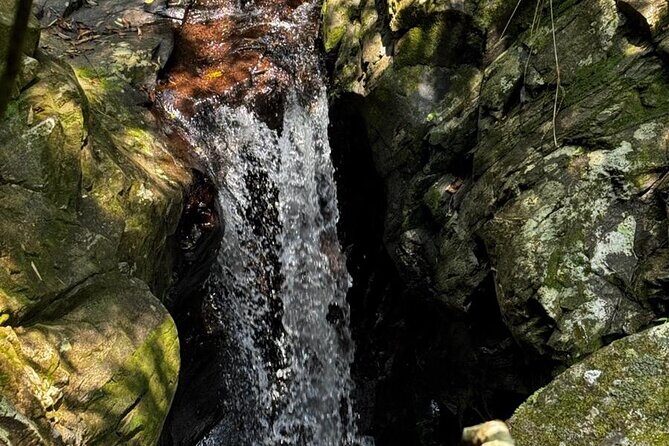 Exploring Bach Ma Trekking Hue National Park - FAQ  