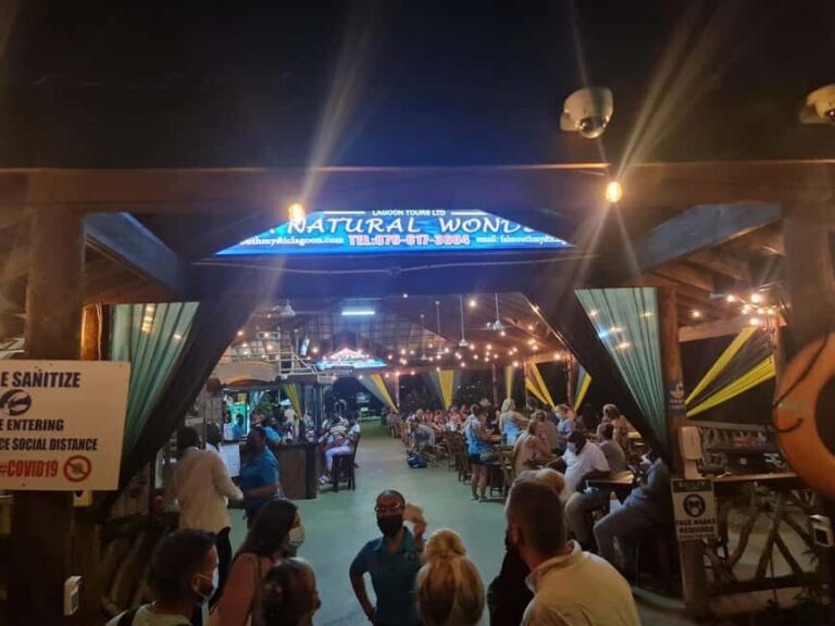 Falmouth: Bioluminous Lagoon Tour with Fire Dance - Welcome at the Lagoon: Setting the Scene