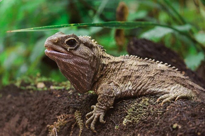 Family trip to staglands wildlife sanctuary - What to Expect During Your Visit