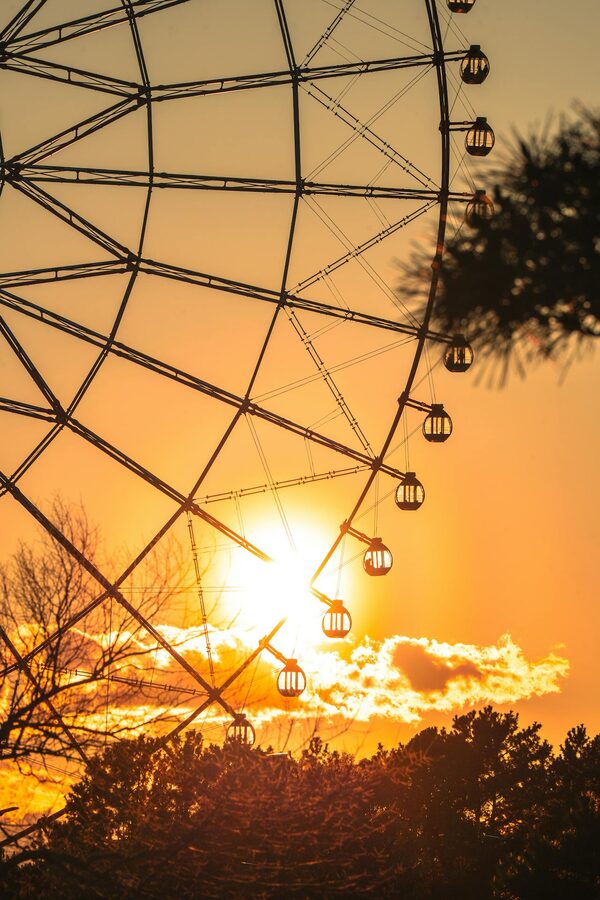 Ferris wheel lit up at night Japan