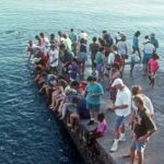 Fish Feeding Activity in Darwin - What the Reviews Say