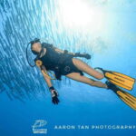 Fisheye Divers: Discover Scuba Diving - Who Should Consider This Experience?