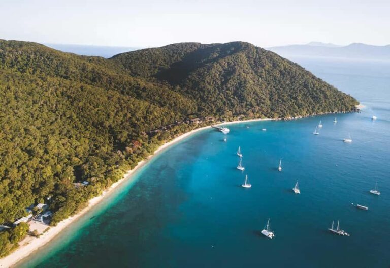 Fitzroy Island: Full-Day Ferry & Snorkel Safari Guided Tour - The Experience from a Traveler’s Perspective
