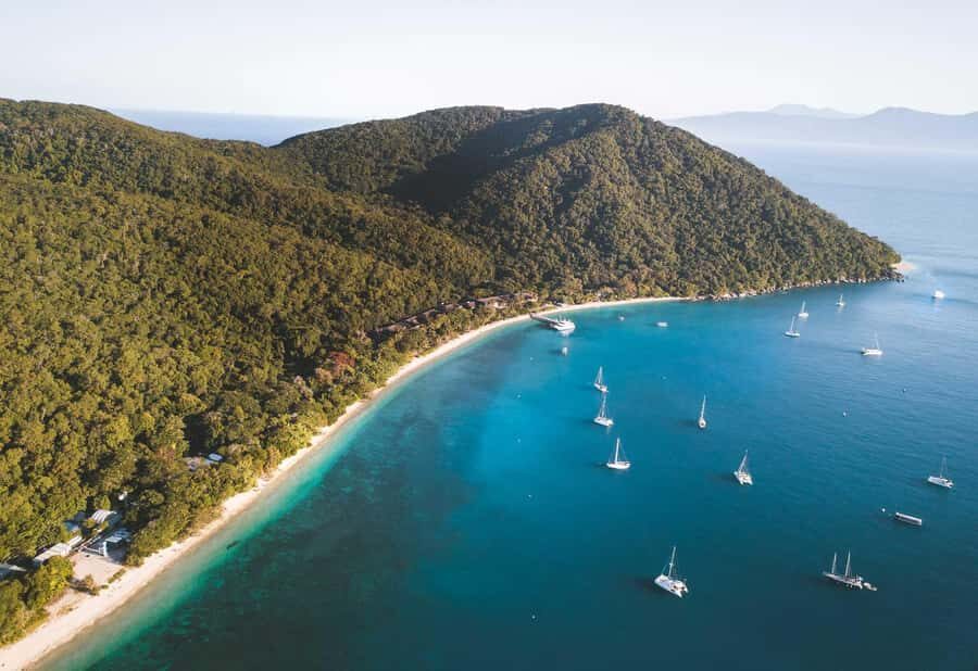 Fitzroy Island: Full-Day Ferry & Snorkel Safari Guided Tour - The Experience from a Traveler’s Perspective