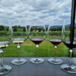 Flavour of the Yarra Valley Private Experience - Who Should Consider This Tour?
