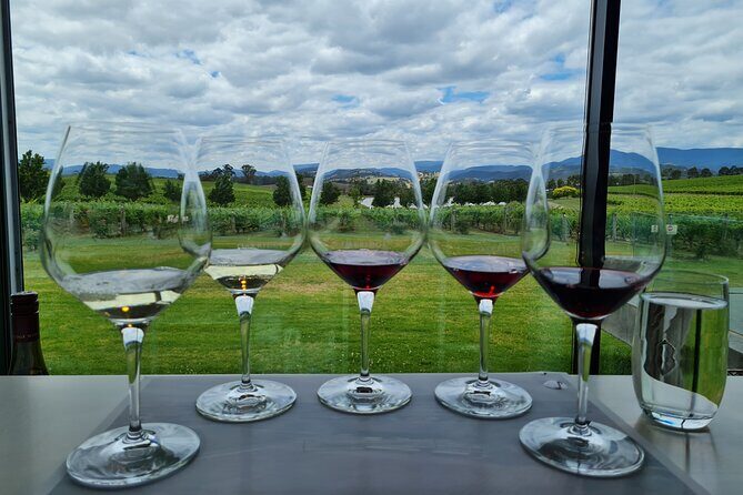 Flavour of the Yarra Valley Private Experience - Who Should Consider This Tour?