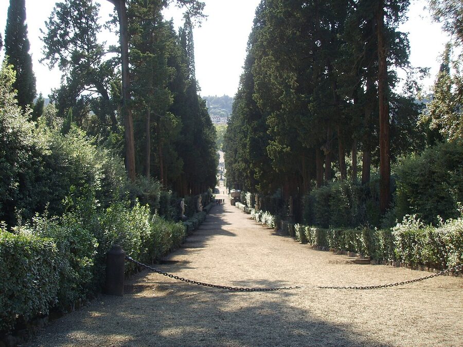 Viottolone cypress avenue Boboli Gardens Florence