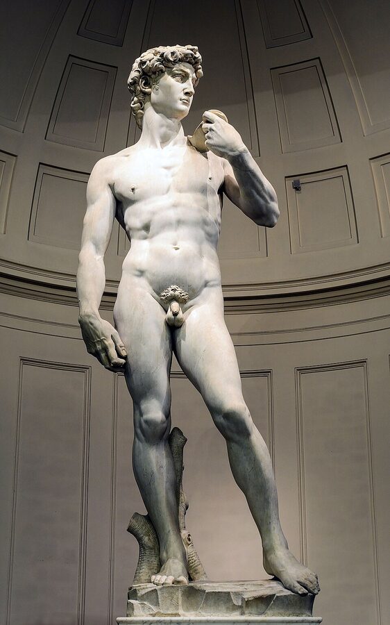 Michelangelo's David standing in the Tribuna at the Accademia in Florence