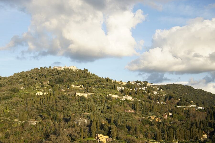 Aerial view of Fiesole hills above Florence