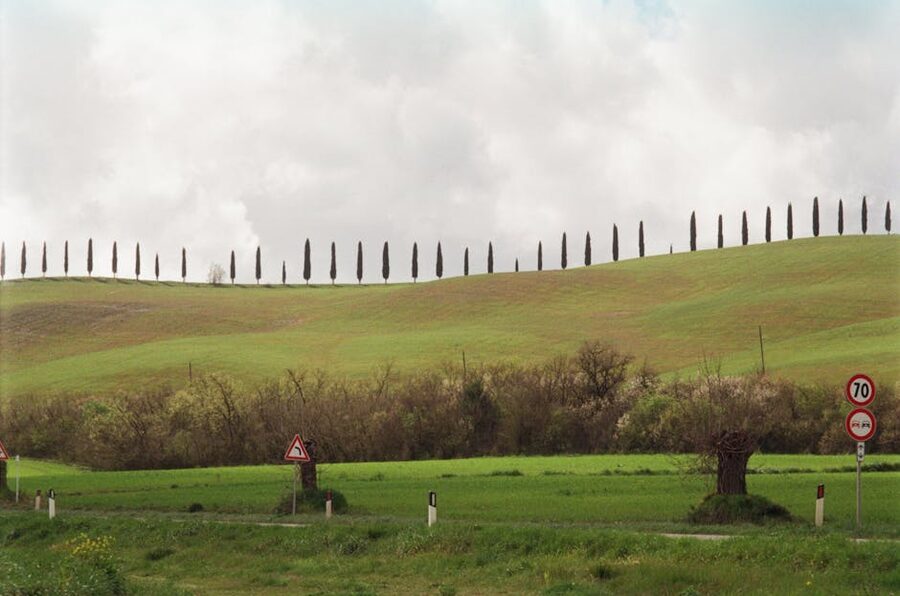 Tuscan cypress hillside with road signs