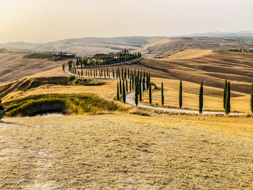 Cypress-lined serpentine road in Tuscany at sunset