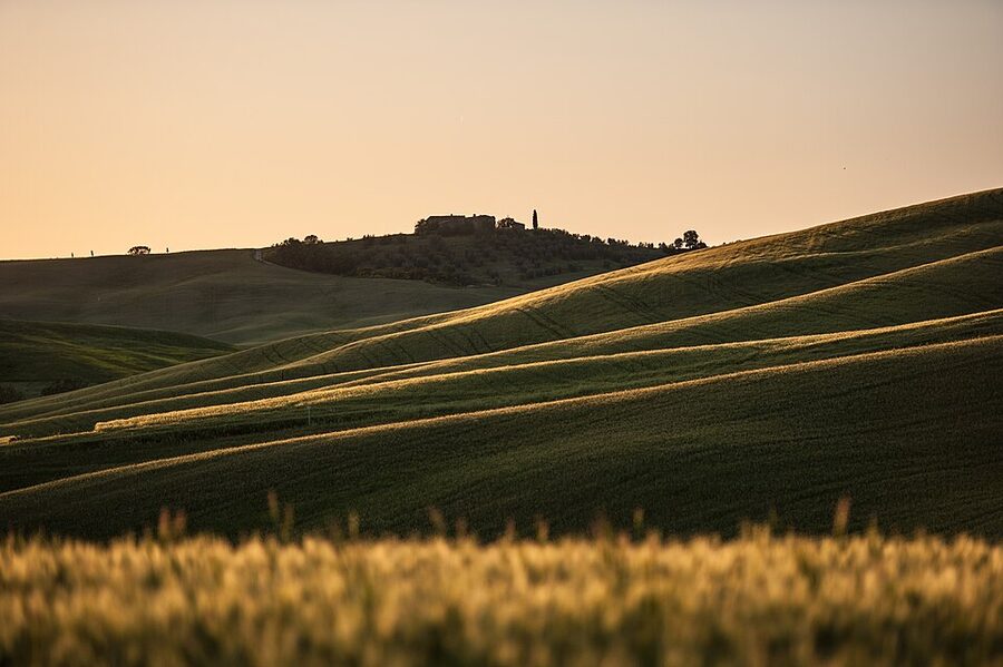 Tuscan hills at evening light