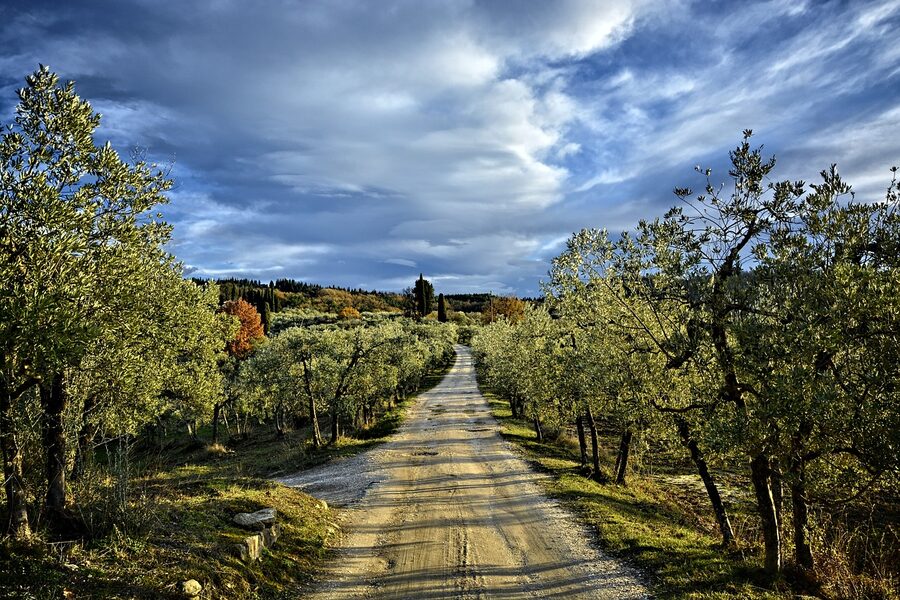 Chianti hills along Via delle Tavarnuzze near Florence