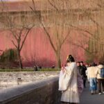 Forbidden City Ticket + 5-Language Audio Guide - What to Expect Inside the Forbidden City