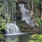 Freeport Shore Excursion: Garden of the Groves and City Tour - Final Thoughts