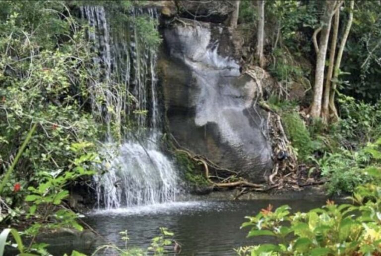 Freeport Shore Excursion: Garden of the Groves and City Tour - Final Thoughts  