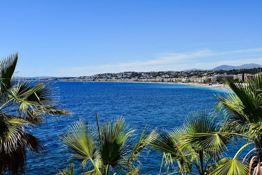 Cote d Azur coastline with palm trees