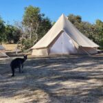 From Adelaide: Kangaroo Island Epic 2-Day Small Group Tour - The Experience: What You Can Expect
