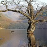 From Andong: Cheongsong Juwangsan Mt. UNESCO Geopark Hike - Why this tour offers real value